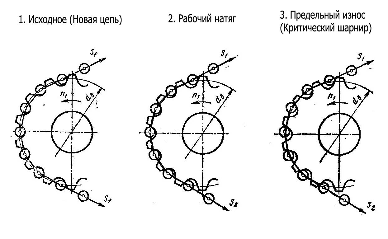 Схема зацепления и износа цепи конвейера Схема износа и расположения звеньев тяговой цепи на зубьях звездочки по ГОСТ
